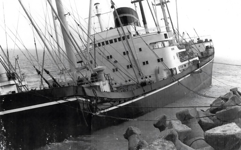 Cargoul "VISHVA SHANTI" la momentul eșuării