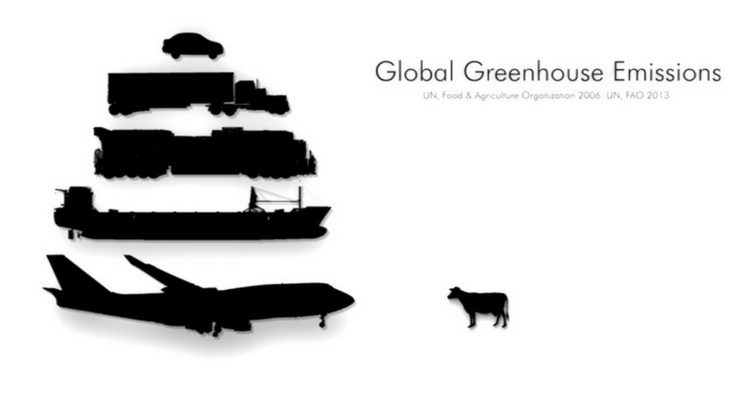 Emissile de gaze cu efect de sera - UN 2006 FOA 2013