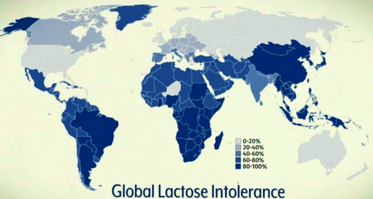 Intoleranta-Globala-la-Lactoza