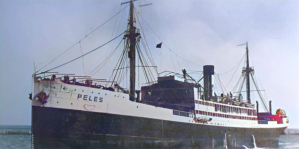 Vaporul SMR "PELEȘ"