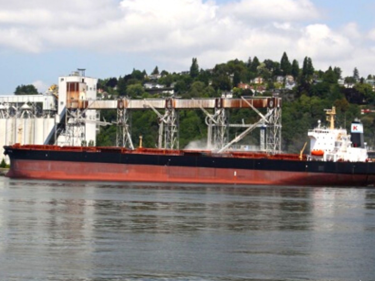 BORZEȘTI, vrachier de 64.854 TDW, construit în 1982 la Ș.N. Constanța