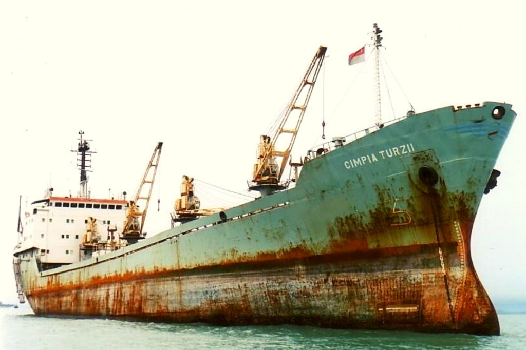 Cargoul "CÎMPIA TURZII"