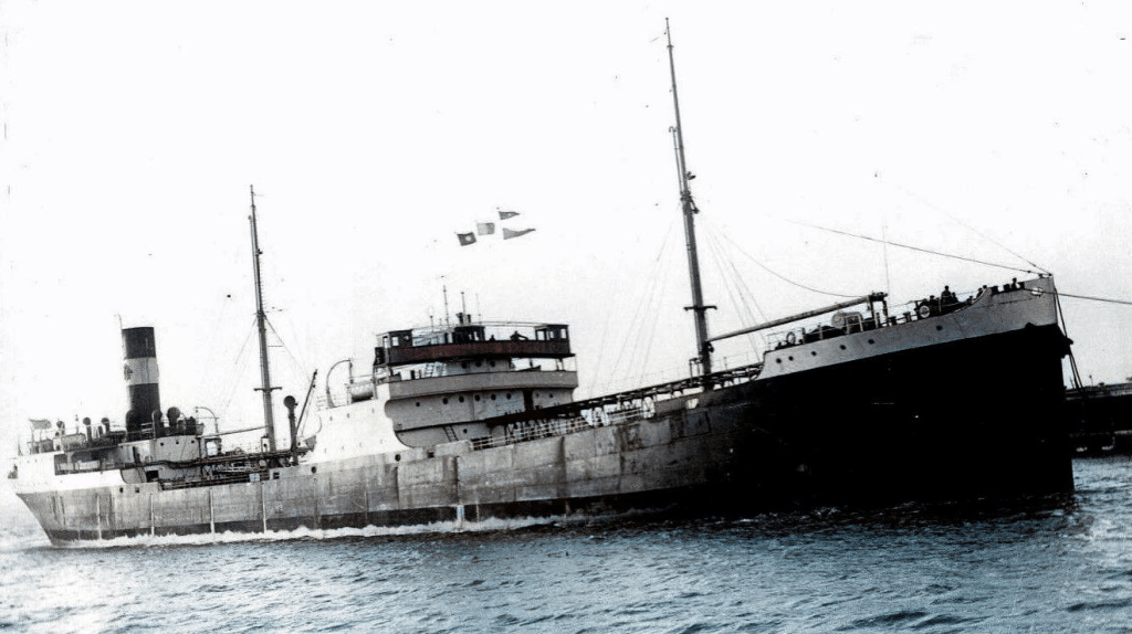 Cargoul "DIMITROV" (OLTENIA)