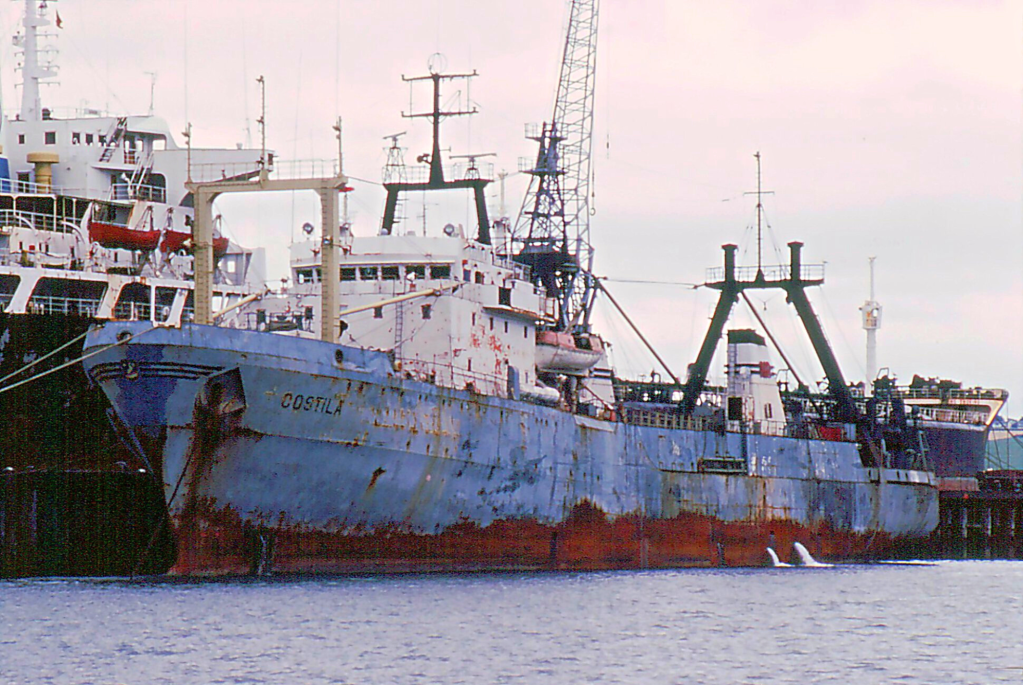 Nava "COȘTILA" - tipul Supertrauler Atlantic