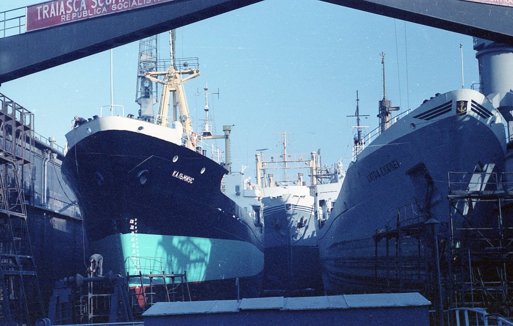 Cargoul VATRA DORNEI